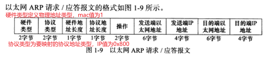 arp报文